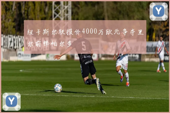 纽卡斯尔联报价4000万欧元争夺里尔前锋帕尔多