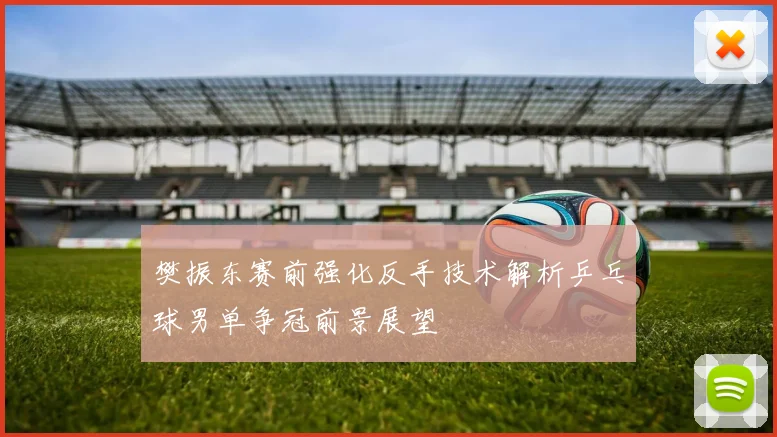 樊振东赛前强化反手技术解析乒乓球男单争冠前景展望